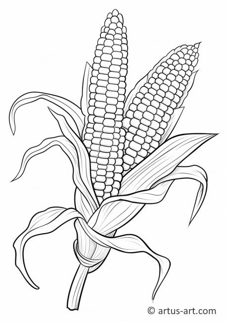 Раскраска Индейская кукуруза